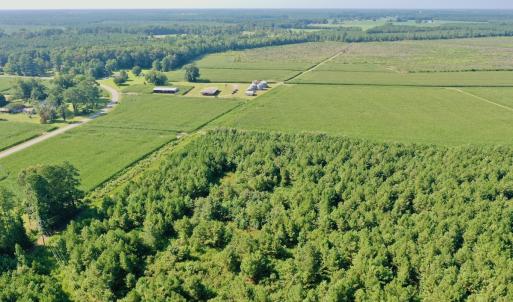 Photo #9 of Off Savage Rd, Corapeak, NC 151.0 acres