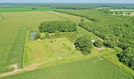 Photo #41 of Off Savage Rd, Corapeak, NC 151.0 acres