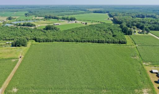 Photo #42 of Off Savage Rd, Corapeak, NC 151.0 acres