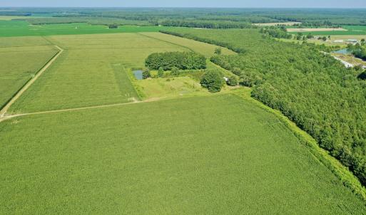 Photo #43 of Off Savage Rd, Corapeak, NC 151.0 acres