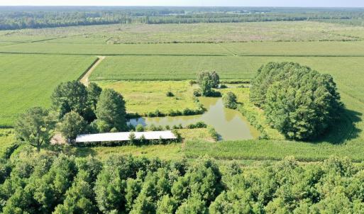Photo #44 of Off Savage Rd, Corapeak, NC 151.0 acres