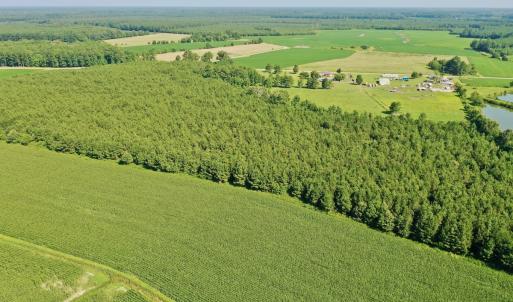 Photo #45 of Off Savage Rd, Corapeak, NC 151.0 acres