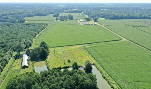 Photo #46 of Off Savage Rd, Corapeak, NC 151.0 acres