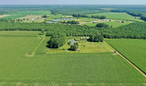 Photo #47 of Off Savage Rd, Corapeak, NC 151.0 acres