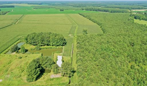 Photo #48 of Off Savage Rd, Corapeak, NC 151.0 acres
