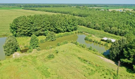 Photo #50 of Off Savage Rd, Corapeak, NC 151.0 acres