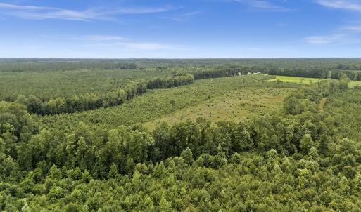 Photo #10 of Off Watering Pond Road, Pink Hill, NC 43.1 acres