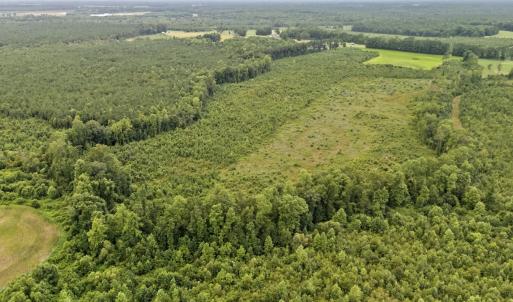 Photo #11 of Off Watering Pond Road, Pink Hill, NC 43.1 acres