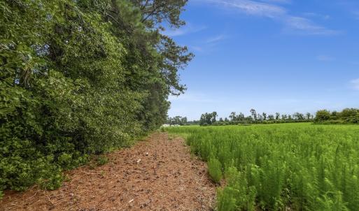 Photo #13 of Off Watering Pond Road, Pink Hill, NC 43.1 acres