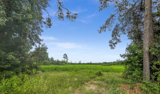 Photo #18 of Off Watering Pond Road, Pink Hill, NC 43.1 acres