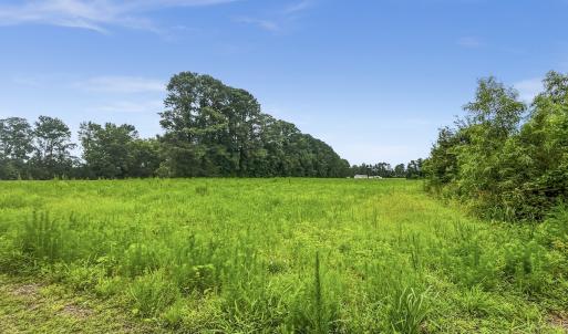 Photo #19 of Off Watering Pond Road, Pink Hill, NC 43.1 acres