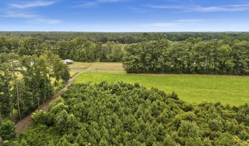 Photo #5 of Off Watering Pond Road, Pink Hill, NC 43.1 acres