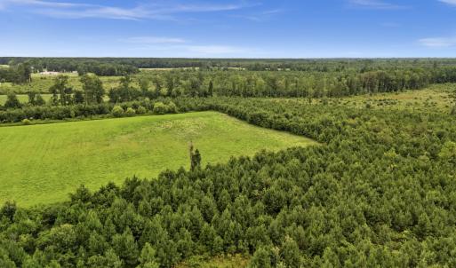 Photo #6 of Off Watering Pond Road, Pink Hill, NC 43.1 acres