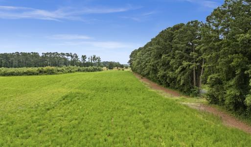 Photo #7 of Off Watering Pond Road, Pink Hill, NC 43.1 acres