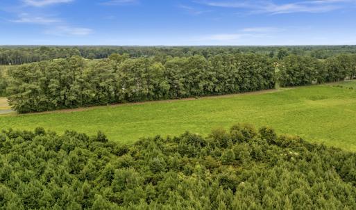 Photo #9 of Off Watering Pond Road, Pink Hill, NC 43.1 acres