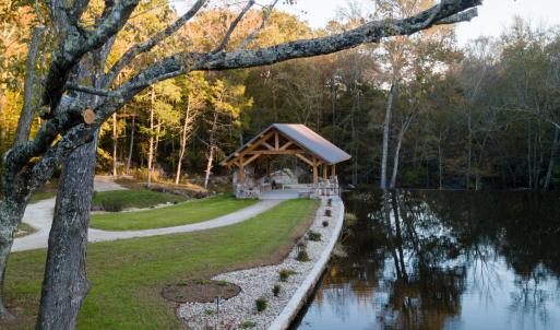 Photo #7 of 13496 Shands Road, Stony Creek, VA 44.0 acres