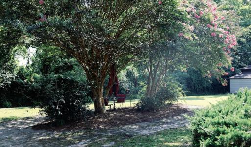Photo #29 of 418 Durwood Evans Rd, Beulaville, NC 1.7 acres