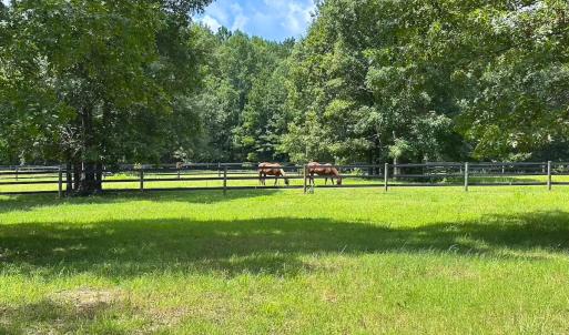 Photo #4 of 4373 Newville Rd , Waverly, VA 24.0 acres