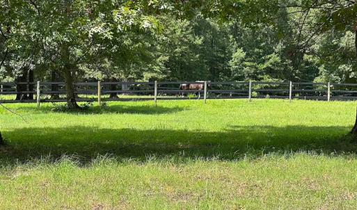 Photo #33 of 4373 Newville Rd , Waverly, VA 24.0 acres