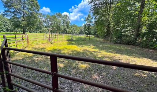 Photo #35 of 4373 Newville Rd , Waverly, VA 24.0 acres