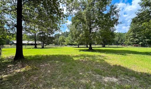 Photo #36 of 4373 Newville Rd , Waverly, VA 24.0 acres
