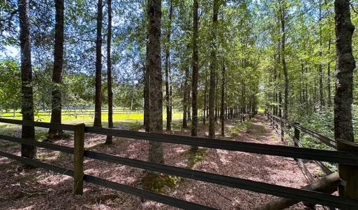 Photo #39 of 4373 Newville Rd , Waverly, VA 24.0 acres