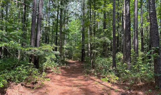 Photo #40 of 4373 Newville Rd , Waverly, VA 24.0 acres