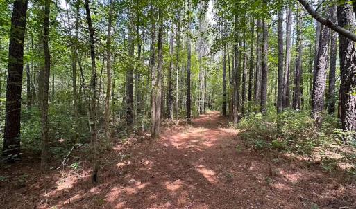 Photo #42 of 4373 Newville Rd , Waverly, VA 24.0 acres