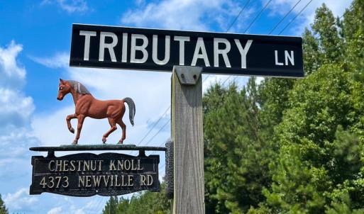 Photo #45 of 4373 Newville Rd , Waverly, VA 24.0 acres