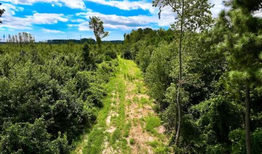 Photo #16 of 1115 WILMAR RD, vanceboro, NC 166.0 acres