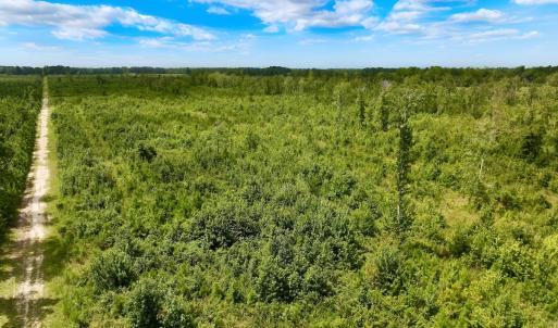 Photo #17 of 1115 WILMAR RD, vanceboro, NC 166.0 acres