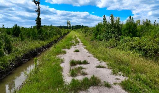 Photo #18 of 1115 WILMAR RD, vanceboro, NC 166.0 acres