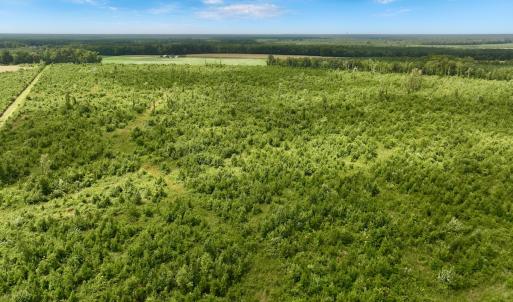 Photo #20 of 1115 WILMAR RD, vanceboro, NC 166.0 acres