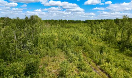 Photo #21 of 1115 WILMAR RD, vanceboro, NC 166.0 acres