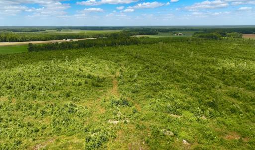 Photo #22 of 1115 WILMAR RD, vanceboro, NC 166.0 acres