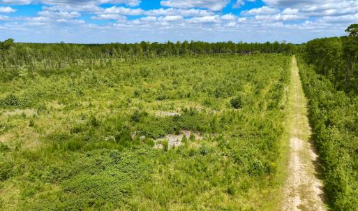 Photo #23 of 1115 WILMAR RD, vanceboro, NC 166.0 acres