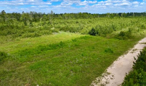 Photo #24 of 1115 WILMAR RD, vanceboro, NC 166.0 acres