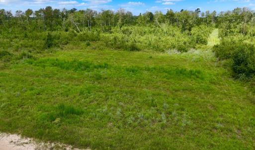 Photo #25 of 1115 WILMAR RD, vanceboro, NC 166.0 acres