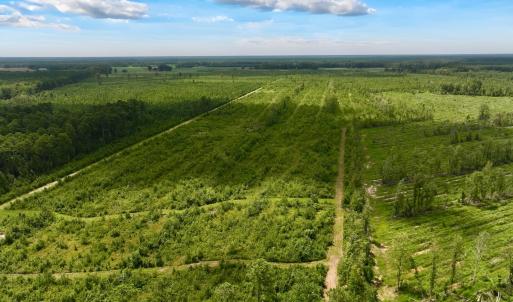 Photo #2 of 1115 WILMAR RD, vanceboro, NC 166.0 acres