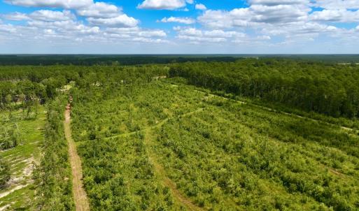 Photo #3 of 1115 WILMAR RD, vanceboro, NC 166.0 acres