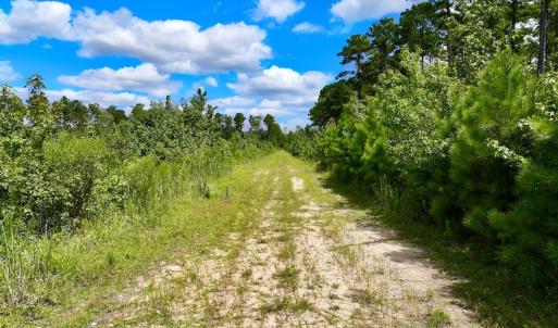 Photo #27 of 1115 WILMAR RD, vanceboro, NC 166.0 acres