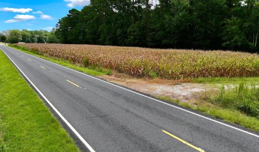 Photo #30 of 1115 WILMAR RD, vanceboro, NC 166.0 acres