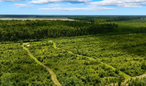 Photo #32 of 1115 WILMAR RD, vanceboro, NC 166.0 acres