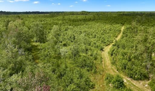 Photo #33 of 1115 WILMAR RD, vanceboro, NC 166.0 acres