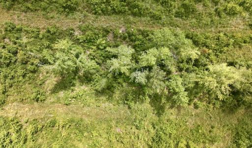 Photo #35 of 1115 WILMAR RD, vanceboro, NC 166.0 acres