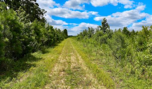 Photo #39 of 1115 WILMAR RD, vanceboro, NC 166.0 acres