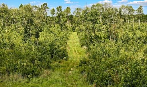 Photo #40 of 1115 WILMAR RD, vanceboro, NC 166.0 acres