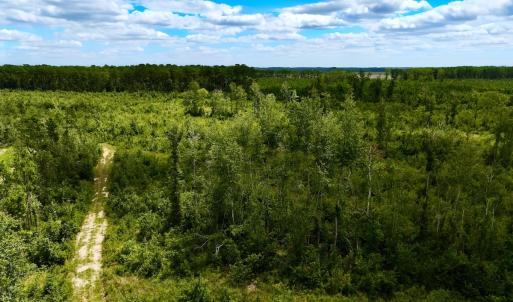 Photo #8 of 1115 WILMAR RD, vanceboro, NC 166.0 acres