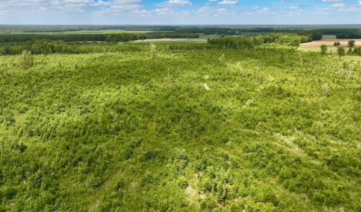 Photo #9 of 1115 WILMAR RD, vanceboro, NC 166.0 acres