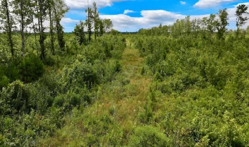 Photo #42 of 1115 WILMAR RD, vanceboro, NC 166.0 acres